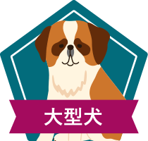 大型犬