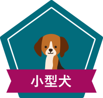 小型犬